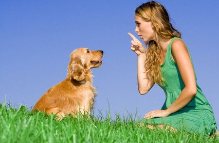 Come si educa un cucciolo di cane
