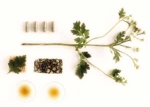 Qual è cura omeopatica per dermatite atopica