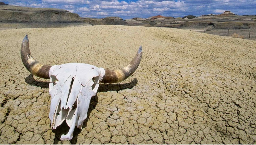 Quali sono sintomi colpo di calore