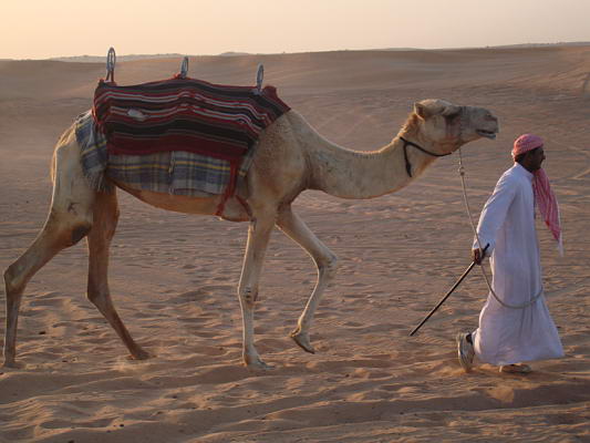 Le escursioni a Dubai