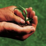 La biodomenica di Roma il 18 aprile a Testaccio