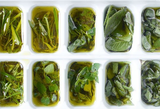 Come conservare le erbe aromatiche