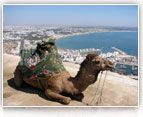 Le escursioni in Marocco