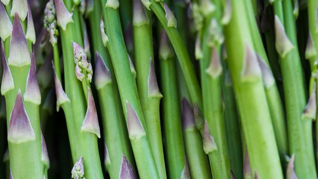 Invita la primavera nei tuoi piatti: cucinare con le verdure di stagione