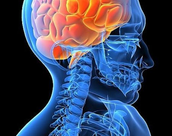 Le vitamine che aiutano a concentrarsi