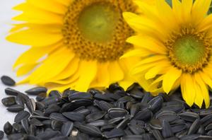 Come fare l'olio in casa