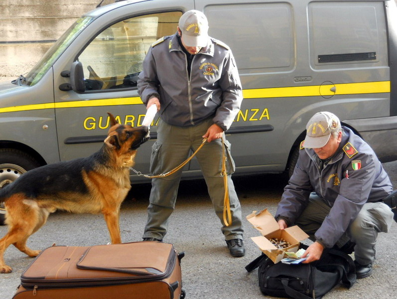 Come entrare nella Guardia di Finanza cinofila