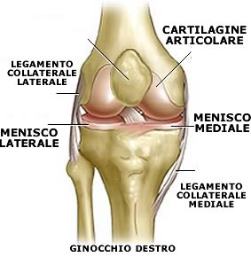 Rimedi casalinghi per ginocchia doloranti