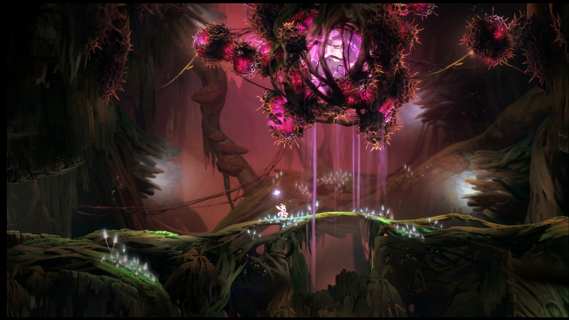 Data uscita Ori and the Blind Forest Xbox One