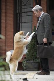 Come vedere in streaming Hachiko