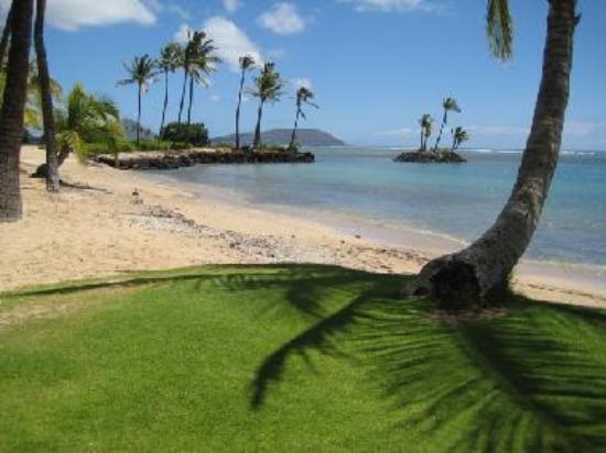 Le spiagge più belle di Honolulu