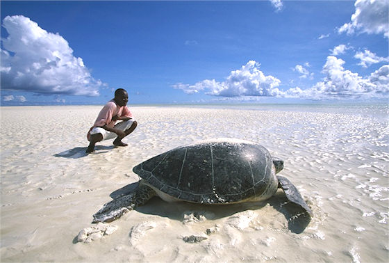 Le spiagge della Tanzania