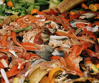Quanto cibo si spreca in Italia