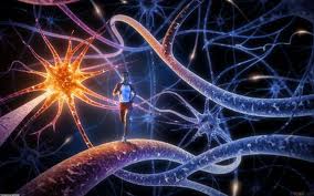 Come ristabilire il sistema immunitario