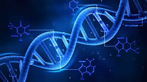 Come funziona il DNA?