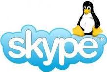 Come utilizzare una webcam e Skype