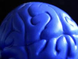 Quali parti del cervello sono affette dalla schizofrenia?