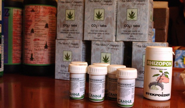 I siti web che promuovono la cannabis