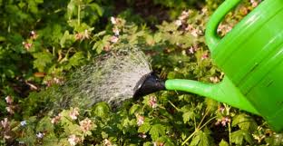 come fare il vostro proprio apparecchio irrigazione auto