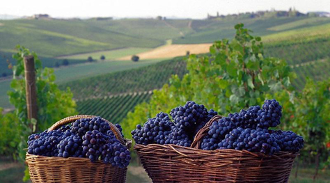 Tre itinerari weekend di Halloween con i bambini