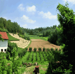 La mia giornata in Piemonte: Pollenzo, Alba e Bra