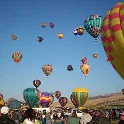 Il Festival di Reno