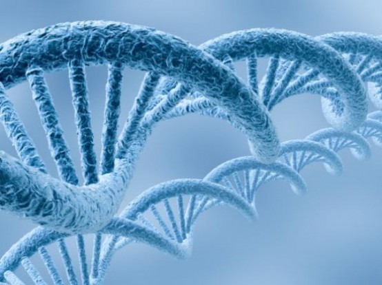 Le malattie genetiche non curabili