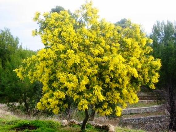 Cosa regalare per la festa della donna!