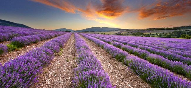 Vacanze in Provenza a Settembre