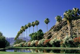 Cosa piace di Palm Springs
