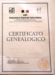 Il pedigree del cane