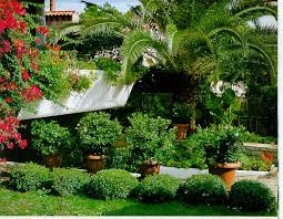 Piante e terreno per adattarle