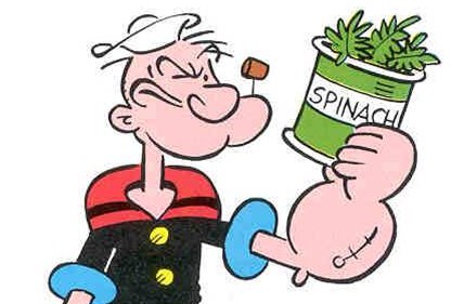 Spinaci: proprietà e ricette per bambini