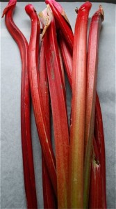 Tre dolci ricette per apprezzare il rabarbaro