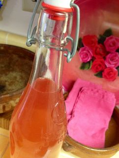 COME PREPARARE IL LIQUORE AL RABARBARO