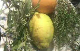 Quali sono rimedi naturali per pori dilatati
