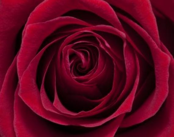 Quali sono i benefici dell'acqua di rose per la pelle?