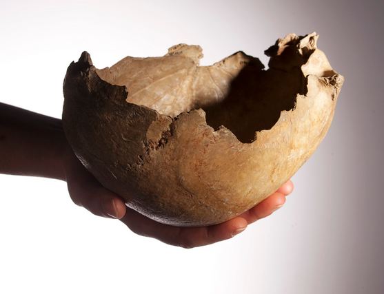 Gli esseri umani erano cannibali