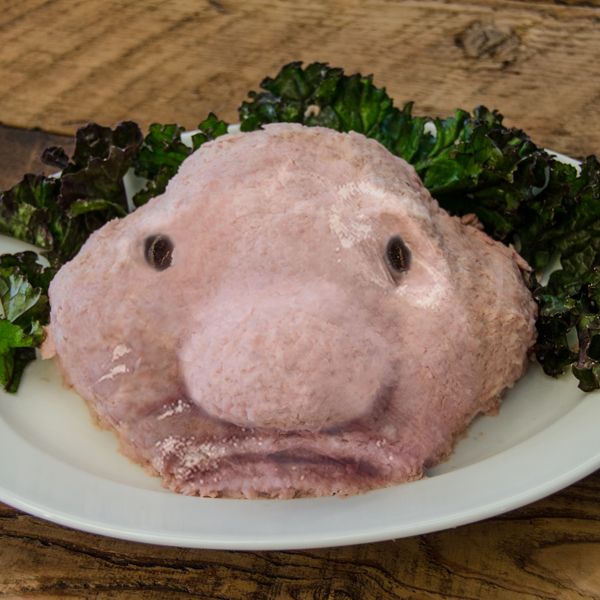 Il pesce-chiazza! Una pietanza spaventosa per Halloween