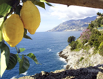 Cosa fare a Sorrento