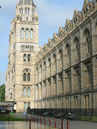 Guida ai musei di Londra