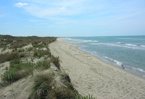 Le spiagge di Tonga