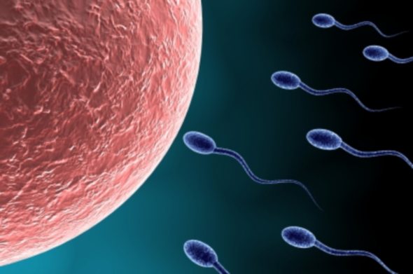 Quali sono le cause dell'infertilità maschile