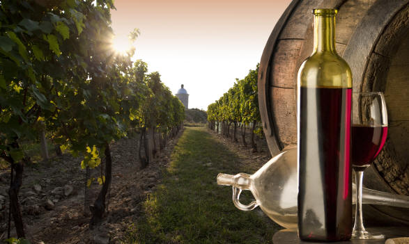 Itinerari del vino in Campania