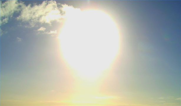 Le fonti di vitamina D