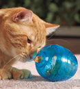 Giochi educativi per gatti