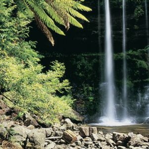 I parchi nazionali della Tasmania