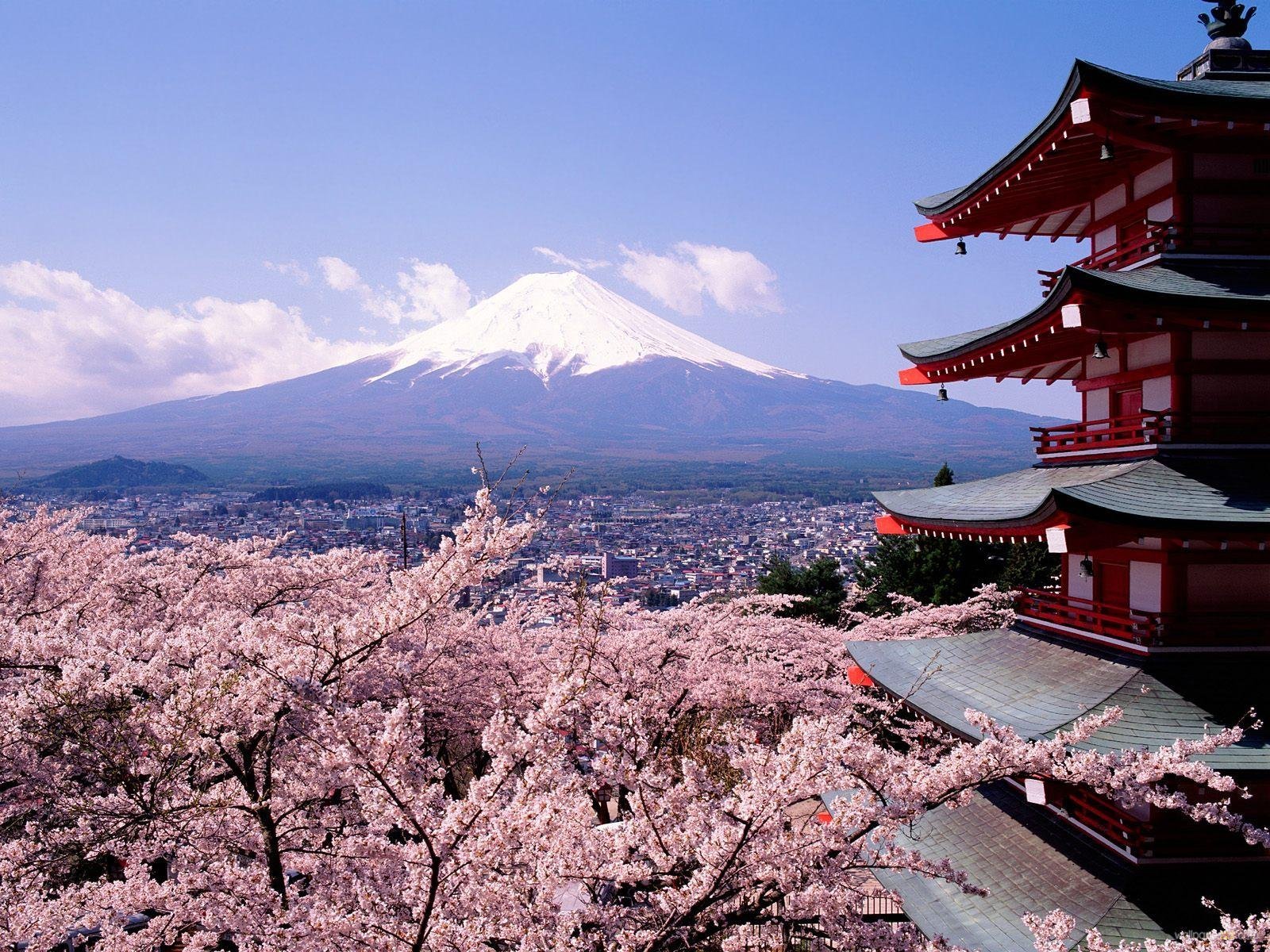 Come visitare Tokyo in 5 giorni