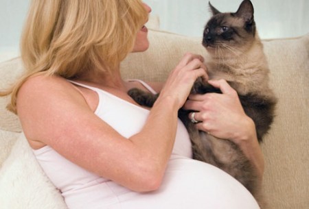 Che cos’è la toxoplasmosi