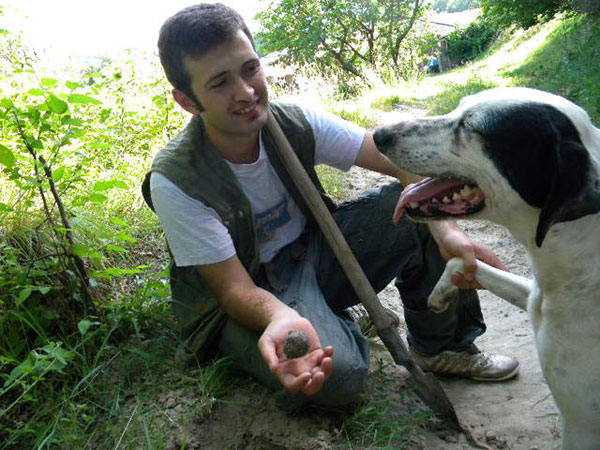 Come addestrare il cane da tartufo